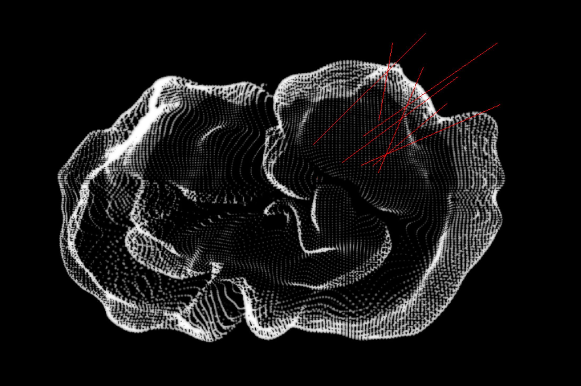 Assemblage Brain (alternative cover), Francesco Tacchini, 2015